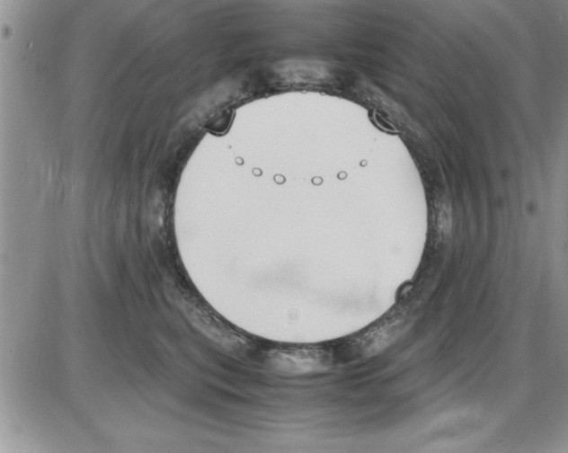 X0000086340567200704272010