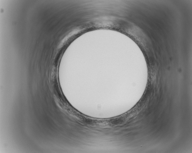 X0000086340583200704272009