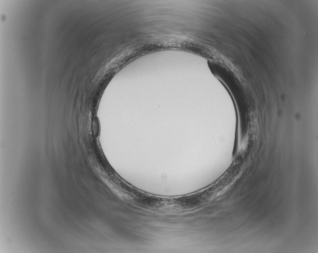 X0000086340589200704272009