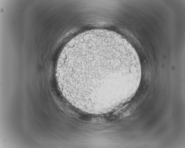 X0000086340591200704272009