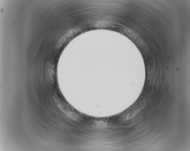 X0000086340592200704272009