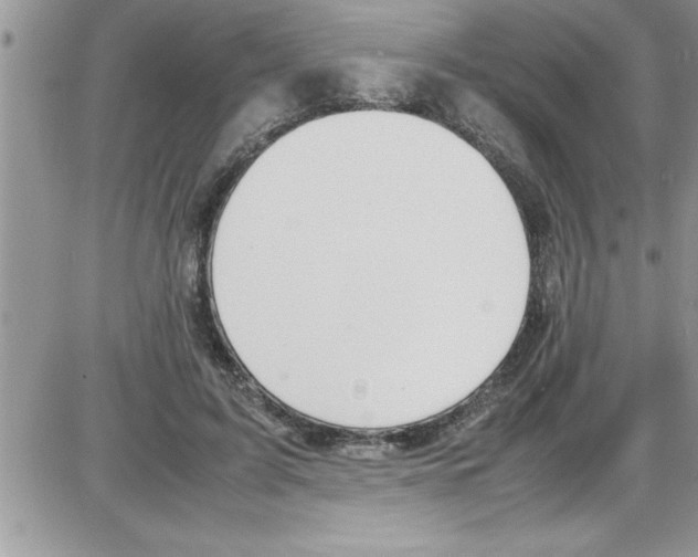 X0000086340595200704272009