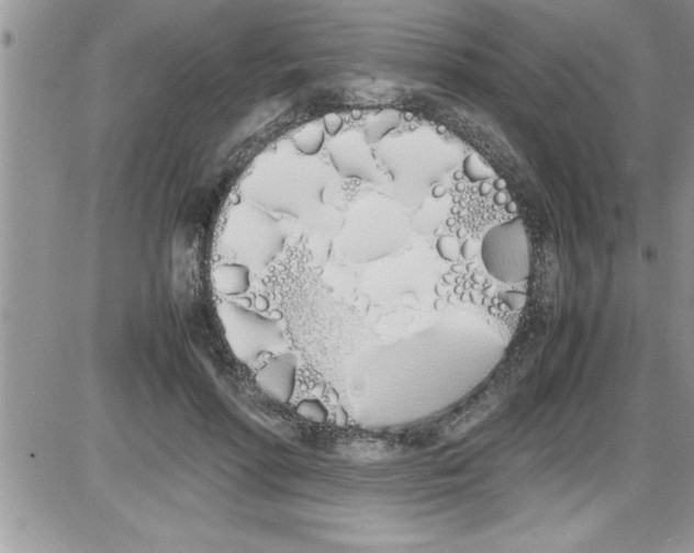 X0000086340598200704272009