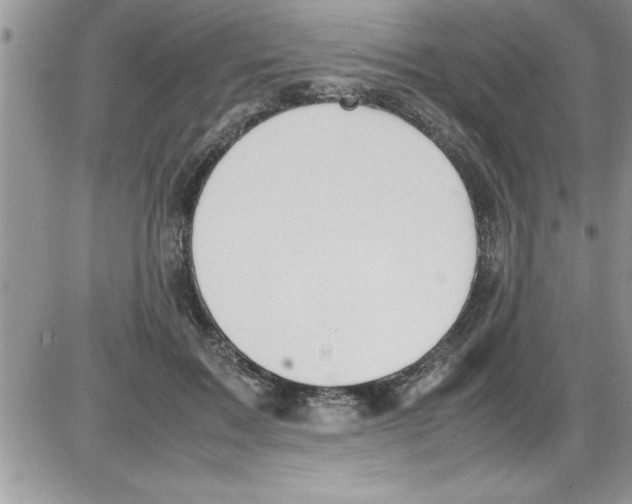 X0000086340603200704272009
