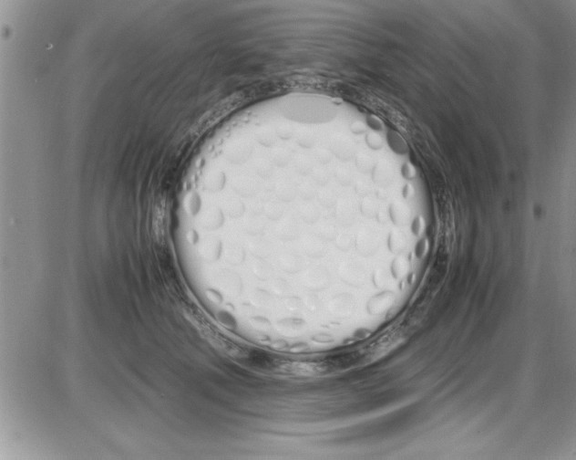 X0000086340610200704272009