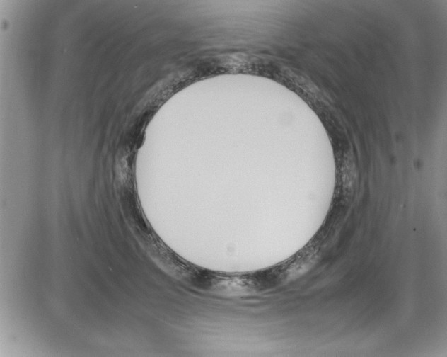 X0000086340611200704272009