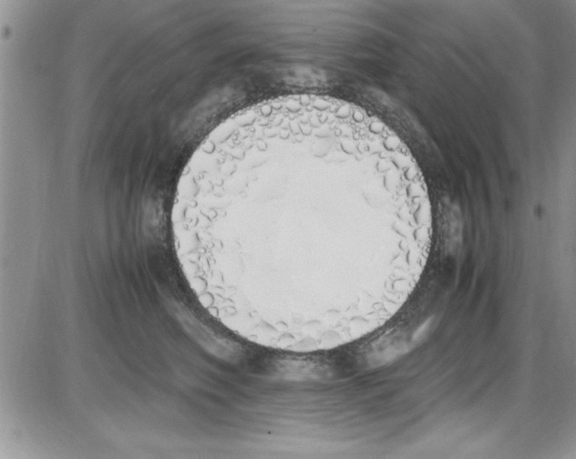 X0000086340614200704272009