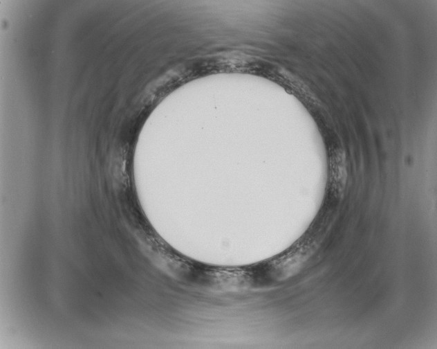 X0000086340615200704272009