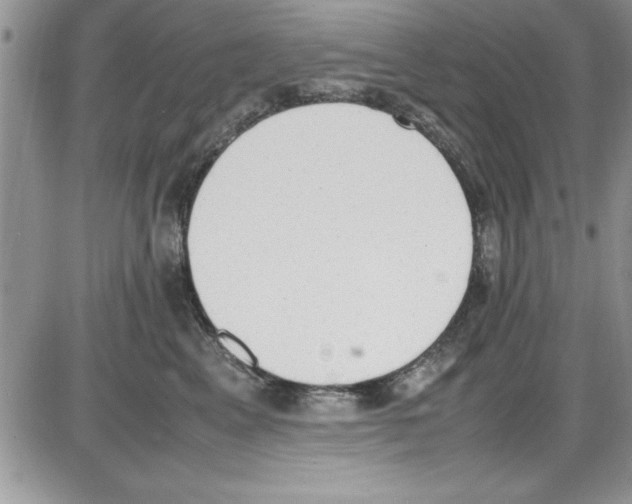 X0000086340617200704272009