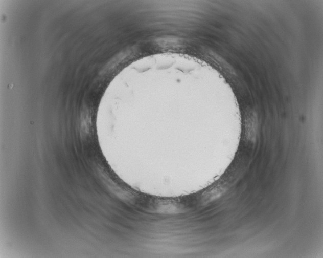 X0000086340618200704272009