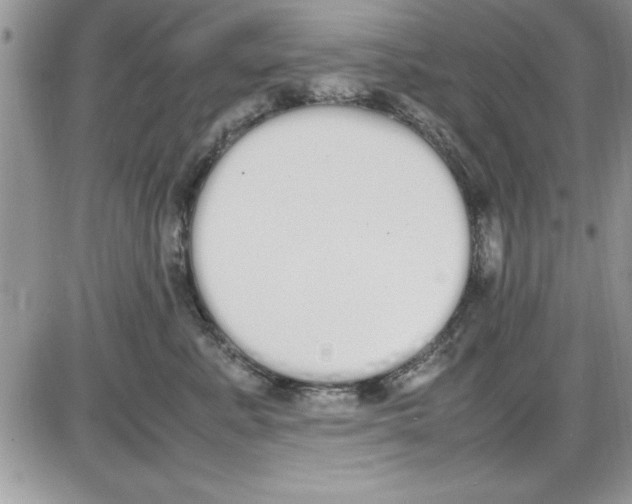 X0000086340619200704272009