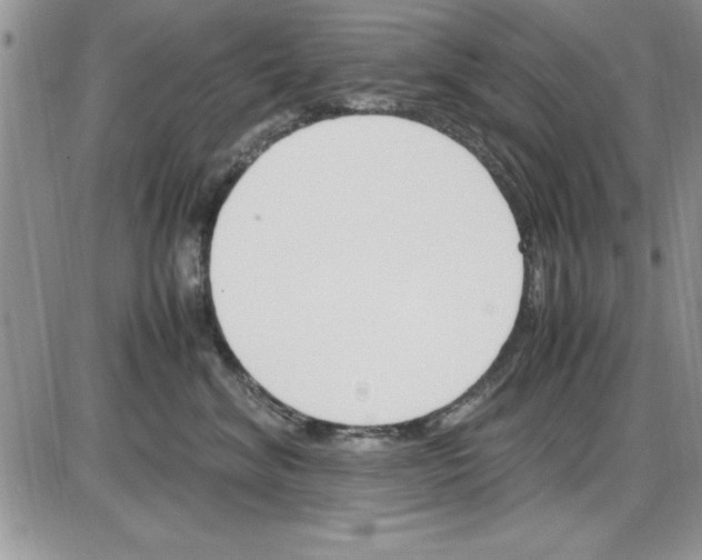 X0000086340620200704272009