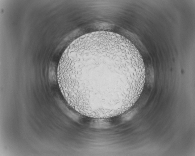 X0000086340622200704272009