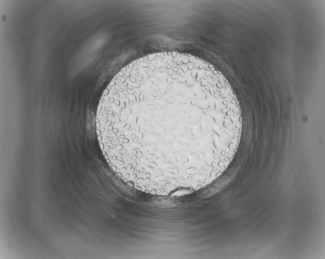 X0000086340624200704272008