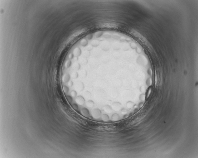 X0000086340627200704272008