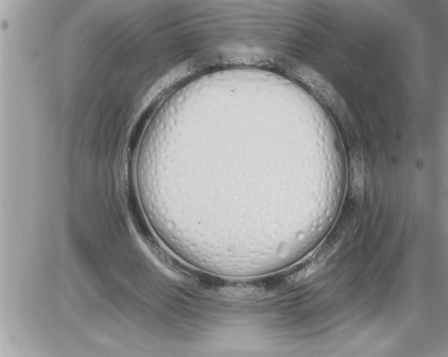 X0000086340630200704272008