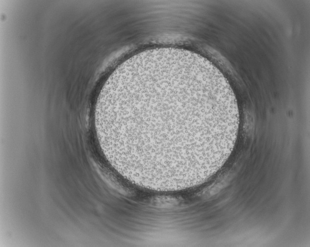X0000086340636200704272008