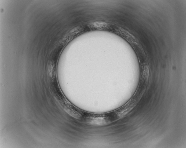 X0000086340651200704272008