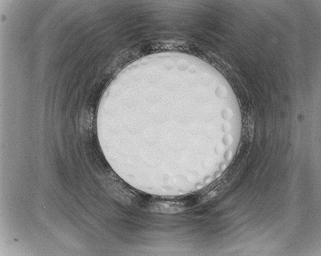 X0000086340657200704272008