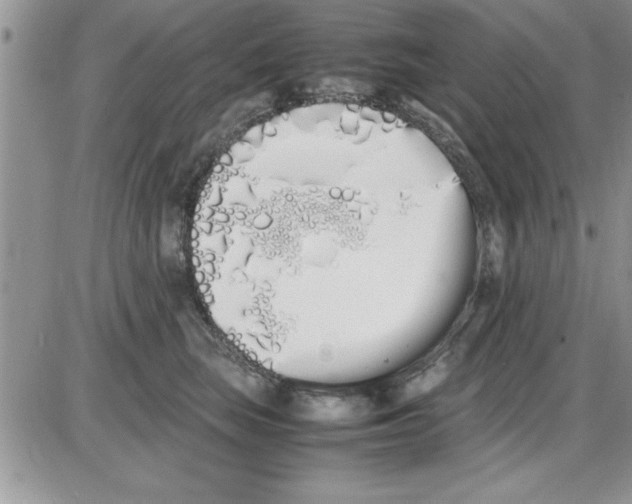 X0000086340663200704272008