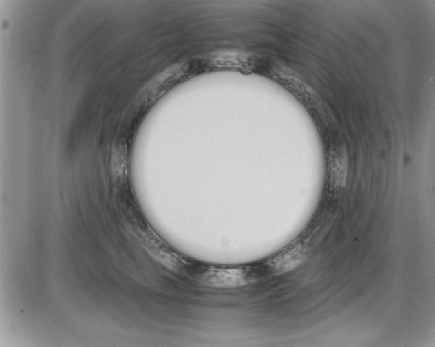 X0000086340665200704272008