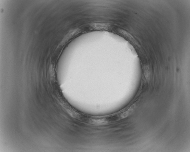 X0000086340667200704272008