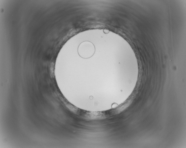X0000086340672200704272008