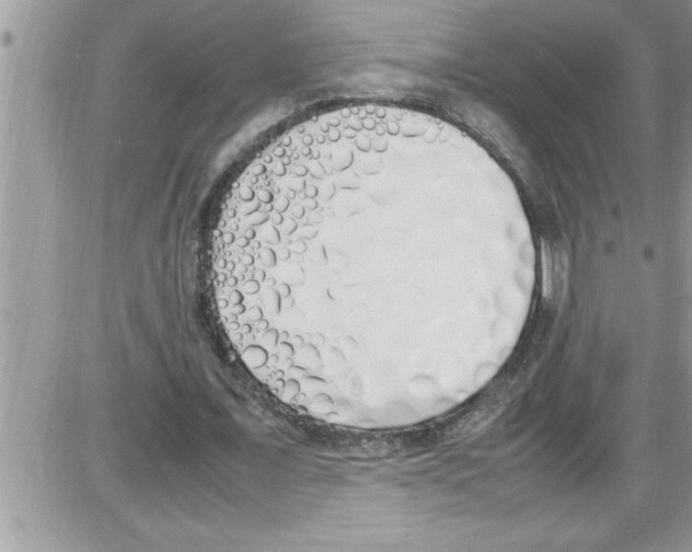 X0000086340675200704272008
