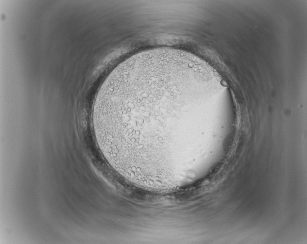 X0000086340683200704272008