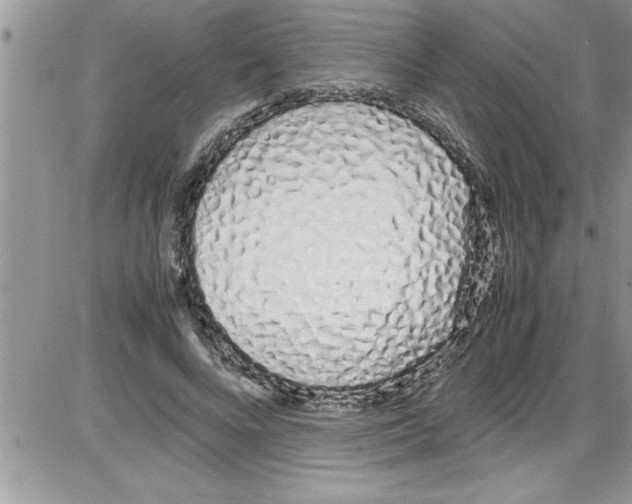 X0000086340688200704272007