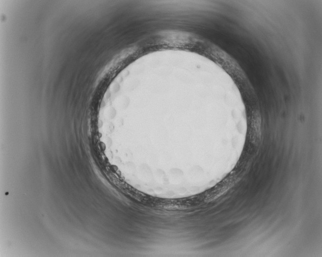 X0000086340734200704272006