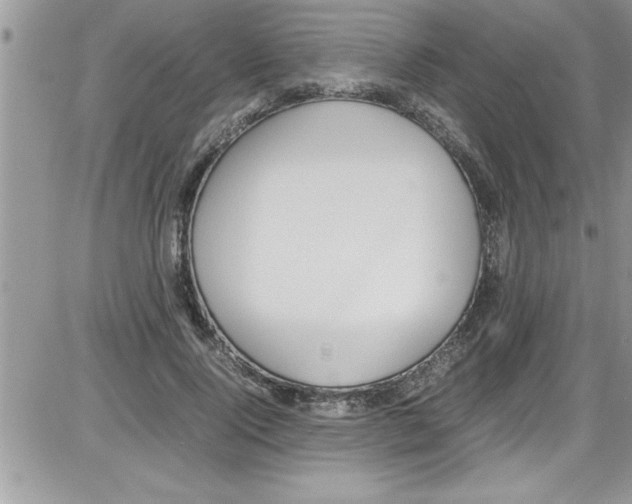 X0000086340740200704272006