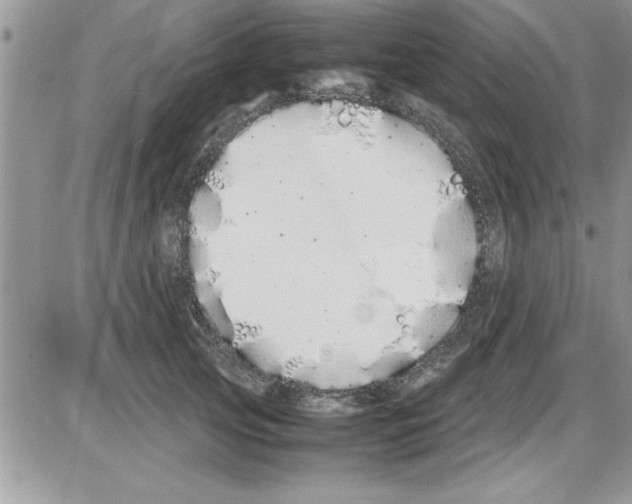 X0000086340753200704272007