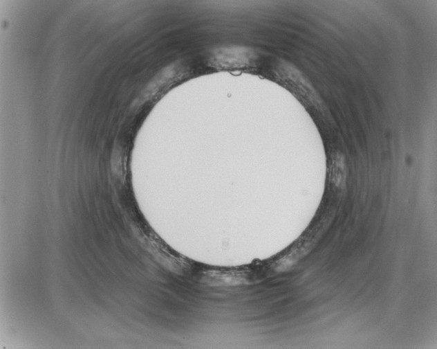 X0000086340763200704272007