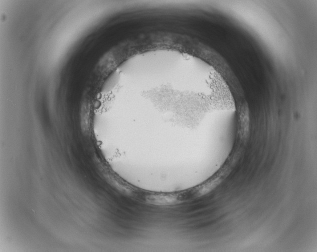 X0000086340765200704272007