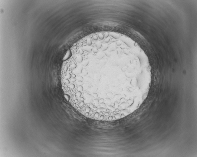 X0000086340774200704272006