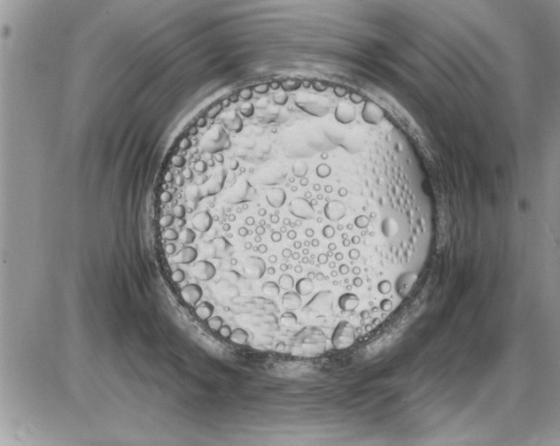 X0000086340798200704272006