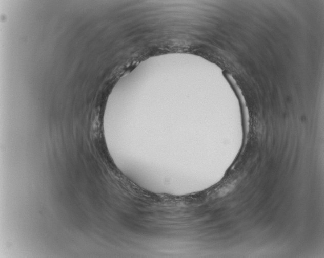 X0000086340818200704272005