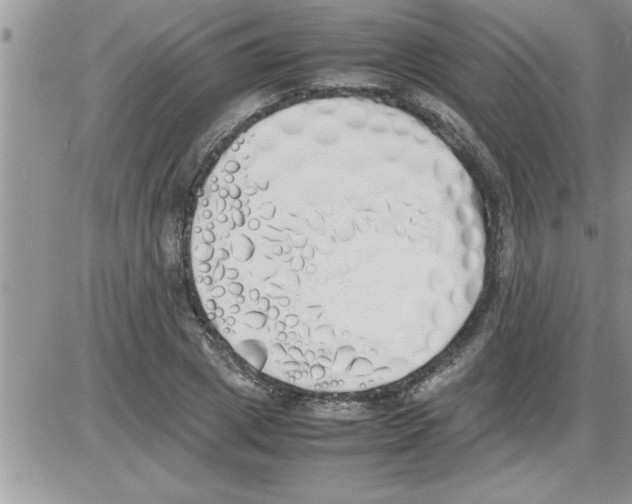 X0000086340833200704272005