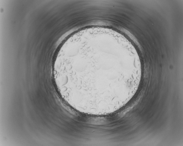 X0000086340837200704272005