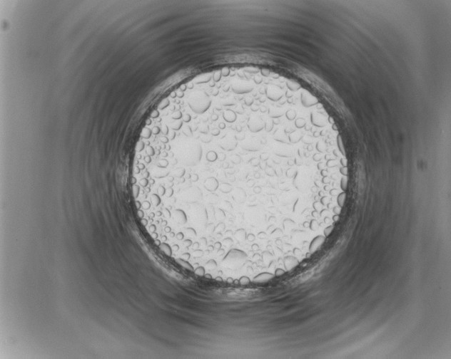 X0000086340841200704272005