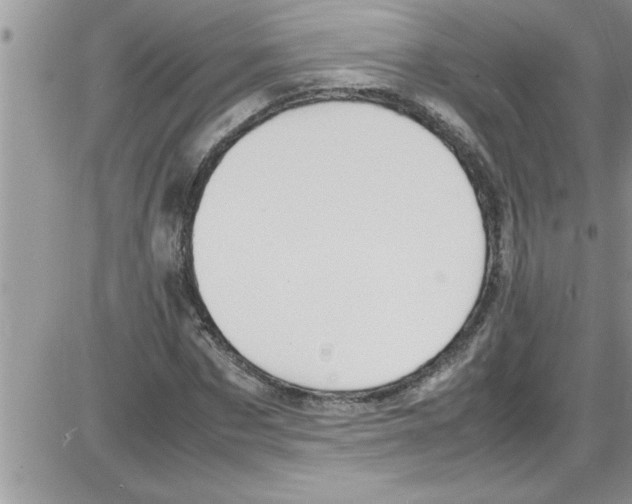 X0000086340873200704272004