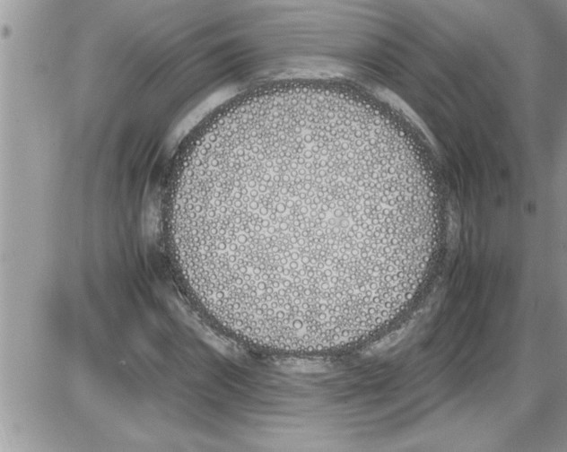 X0000086340874200704272004