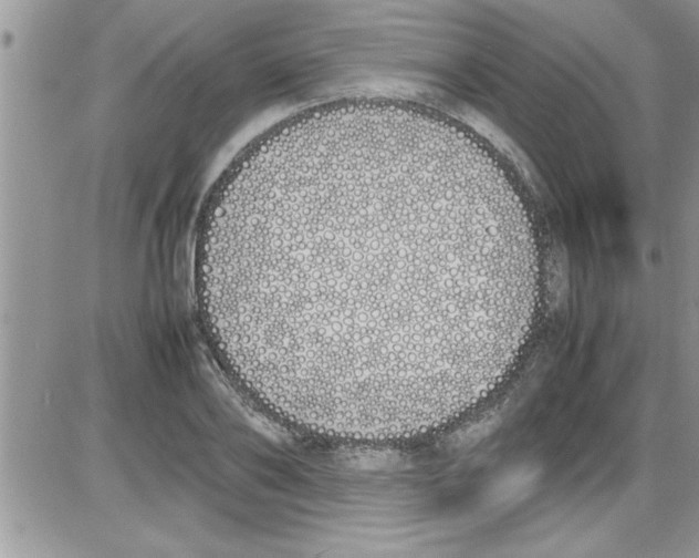 X0000086340886200704272004