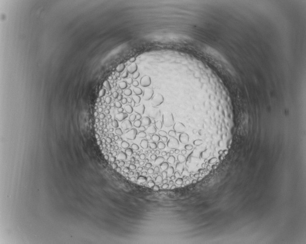 X0000086340966200704272003