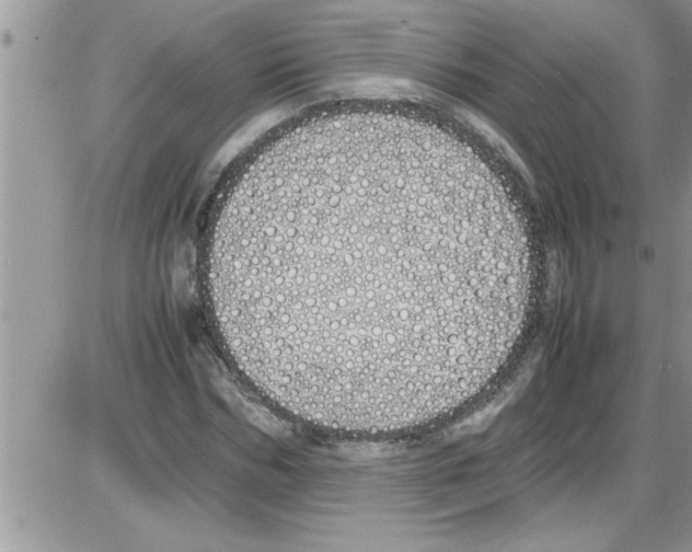 X0000086340970200704272003