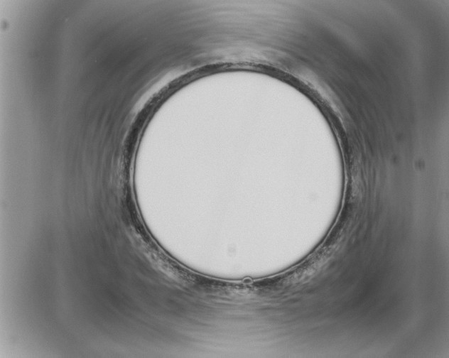 X0000086340975200704272003