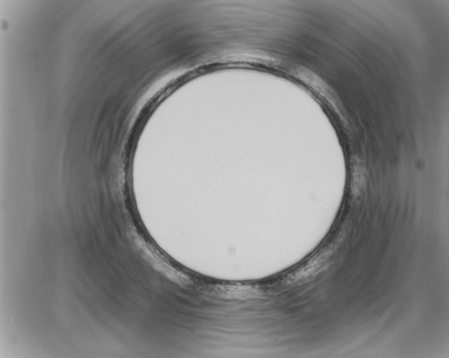 X0000086341024200704272002