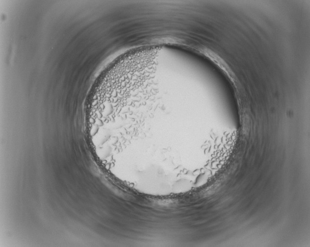 X0000086341031200704272002