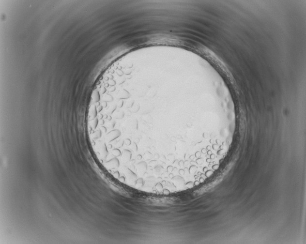 X0000086341041200704272002